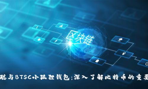 中本聪与BTSC小狐狸钱包：深入了解比特币的重要工具