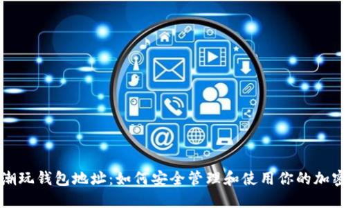 数字潮玩钱包地址：如何安全管理和使用你的加密钱包