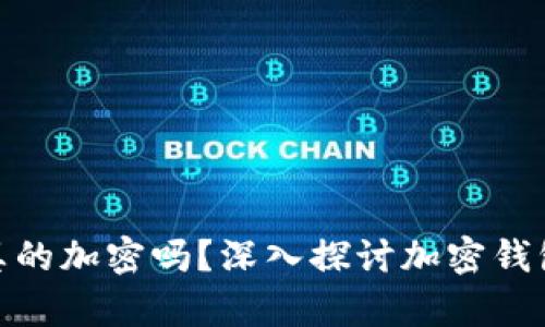 加密钱包真的加密吗?深入探讨加密钱包的安全性