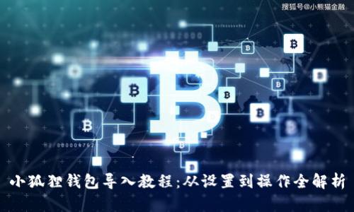 小狐狸钱包导入教程:从设置到操作全解析