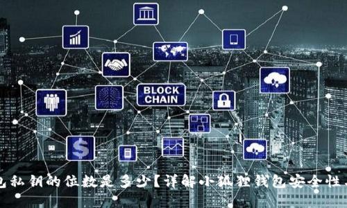 小狐狸钱包私钥的位数是多少？详解小狐狸钱包安全性与使用方法