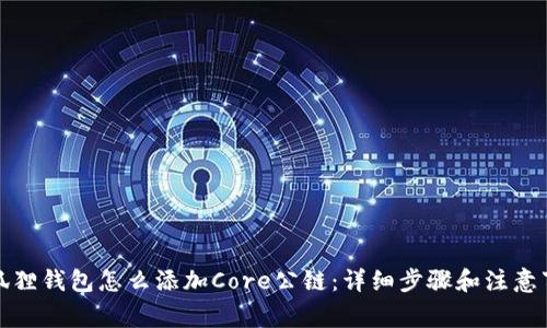 小狐狸钱包怎么添加Core公链:详细步骤和注意事项