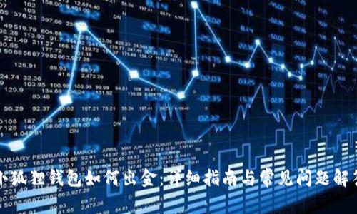 小狐狸钱包如何出金：详细指南与常见问题解答