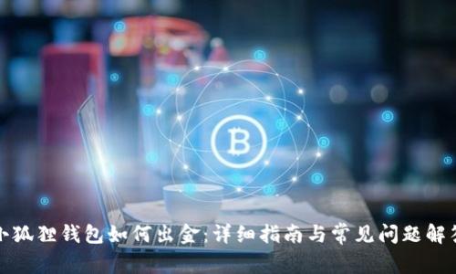 小狐狸钱包如何出金：详细指南与常见问题解答