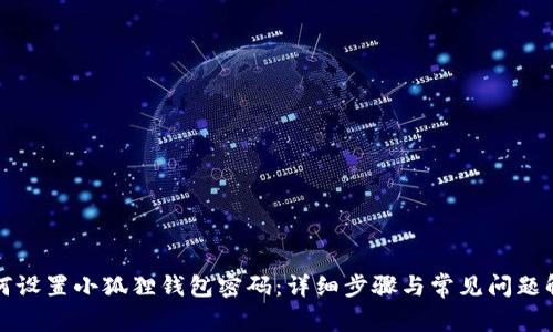 如何设置小狐狸钱包密码：详细步骤与常见问题解答