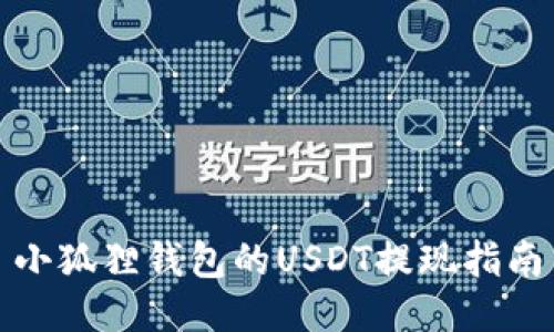 小狐狸钱包的USDT提现指南