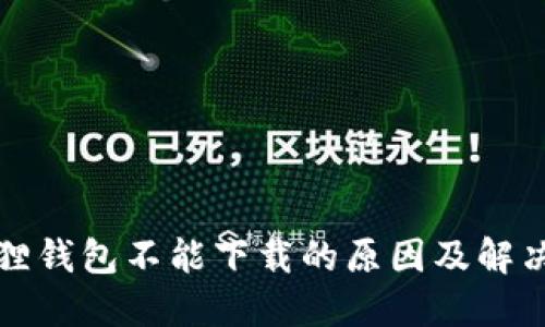 小狐狸钱包不能下载的原因及解决方法
